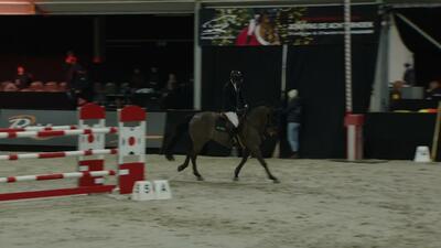 S13: Morssinkhof-Rymoplast Prijs - CSI2* Small Tour 1.35m, 3rd December