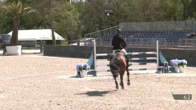 Olivier Perreau & Iroquois d'Aiguilly