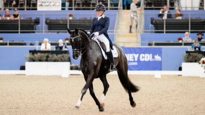 2024 Sydney CDI Sydney International Equestrian Centre