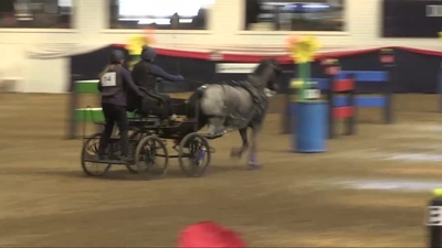 Lorna Ingram & Intermediate Pony