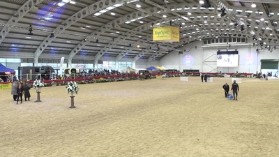 Class 22 Wastewave Plaited First Ridden Pony Final, 25th November