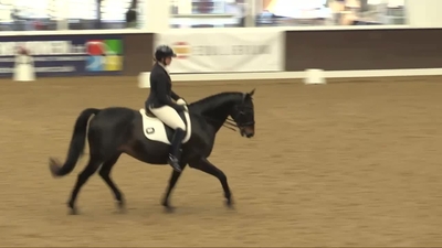 Elementary Dressage to Music Part 3, 29th September