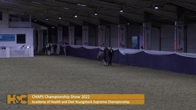 Academy of Health and Diet Youngstock Supreme Championship, 13th August 2022