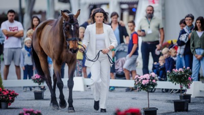 CCI5* L Horse Inspection