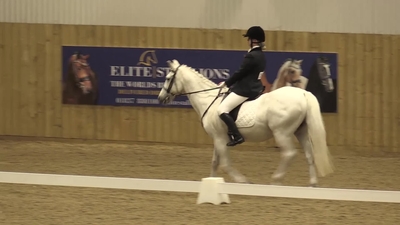 Dressage Grade 1-6 Canter Freestyle