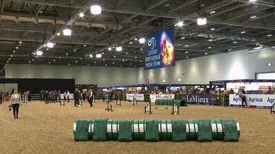 Class 35, Agility, Discover Dogs small/Mix Pairs Challenge Final Jumping, 15th December