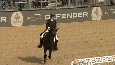 Sarah Rao & Alfranco, Gelding / KWPN / Bay / 2005 / Negro x Zevenster 