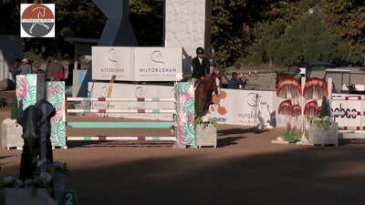 1.30m Jumper, October 12th