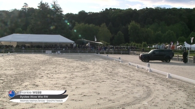 Class 912 FEI CID3* Grand Prix Freestyle to Music, 25th November