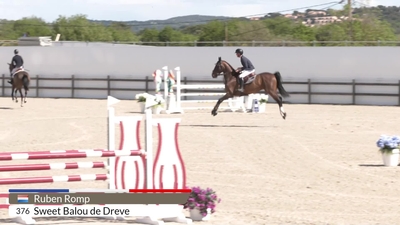 Ruben Romp & Sweet Balou de Dreve