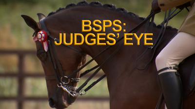 BSPS: Judges' Eye