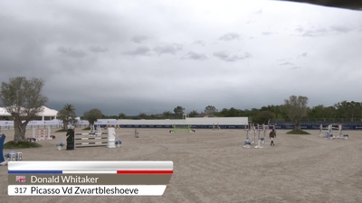 CSI2* - 1.40m - Two Phases Special (274.2.5), 18th April