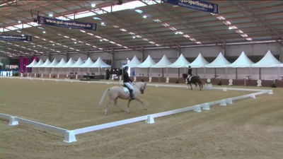 Alison Gill & Glenhill Divine Classic