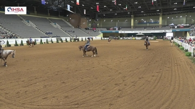 AQHA/NRHA Individual Ranch Riding, 5th May