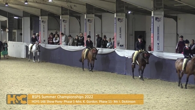 Class 100 HOYS 148 Show Pony, 27th August