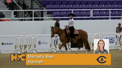 Marcella Bee & Hannah