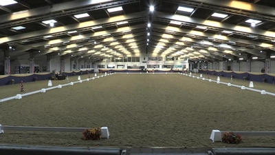 Class 33 High Profile Music Freestyle - FEI Pony