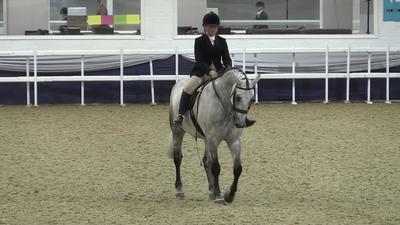 Royal Bronze Pony to Music Championship, August 24th 