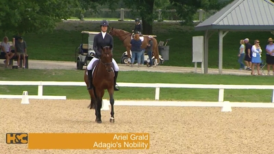 Ariel Grald & Adagio's Nobility