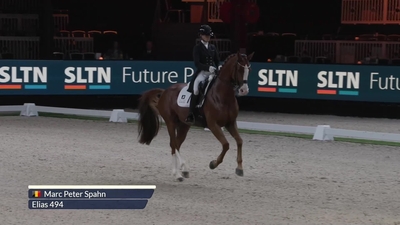 Charlotte Fry & Lars van de Hoenderheide, Gelding / BWP / Chestnut / 2011 / Negro x Layout / Sips / Van Olst Horses