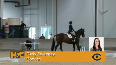 Carly Sweeney & Corvich