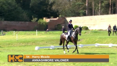 Harry Meade & ANNAGHMORE VALONER (L)