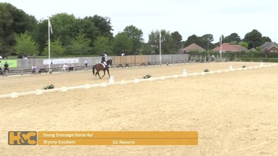 Class 1 Young Dressage Horse 4yr Part 2, 21st July