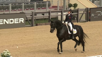 Hayley Watson-Greaves & Rubins Nite, Gelding / BHHS / Black / 2004 / Rubin Royal Old x Limbo