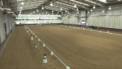 Class 5 FEI PSG Silver & Gold, 25th August