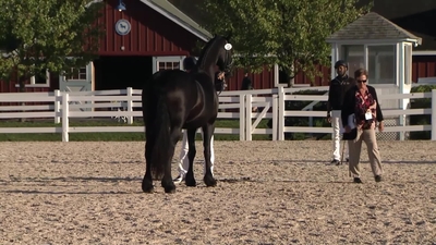 Class 217 Four year old & older Broodmares