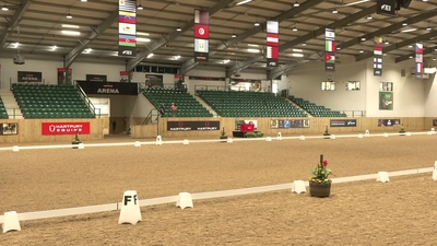 KIBIS British Dressage 6yr Semi Finals