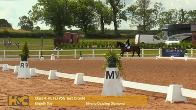 Elspeth Day & Silvano Dazzling Diamond