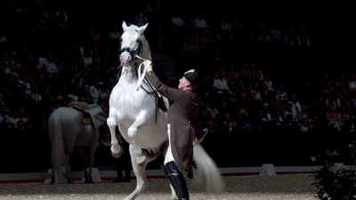 Inside the Spanish Riding School