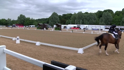 CPEDI3* Para Grand Prix Freestyle II, 6th July