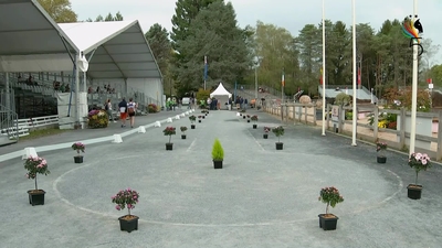 Crazy Cup Driving Horse Inspection