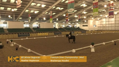 Heather Hopkinson & Brackenspa Houdini