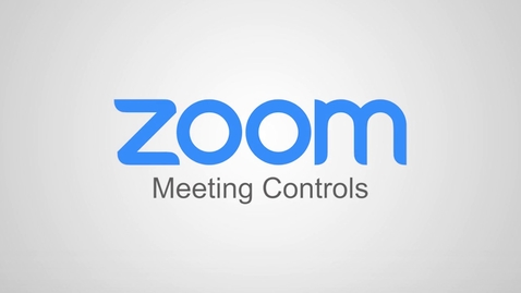 Thumbnail for entry Zoom - Meeting Controls Overview