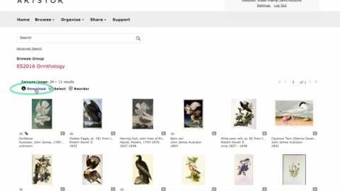 Thumbnail for Artstor - Export to PowerPoint