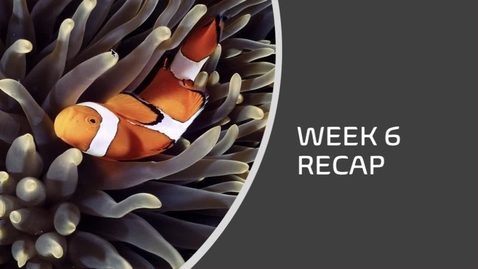 Thumbnail for BIOL 1104L - Dr. Andrews - Week 5 Recap (07/12-18)