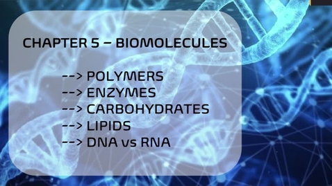 Thumbnail for BIOL 2107 - Dr. Andrews - Week 3 (01/25-31)