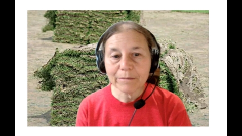 Thumbnail for Better than Making Do