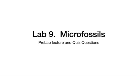 Thumbnail for entry Microfossils