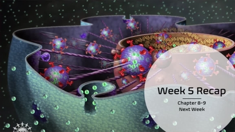 Thumbnail for BIOL 2107 - Dr. Andrews - Week 5 (02/08-14)