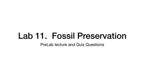 Thumbnail for Preservation.mov