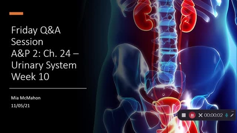 Thumbnail for Ch. 24: Urinary System - Wrap Up!
