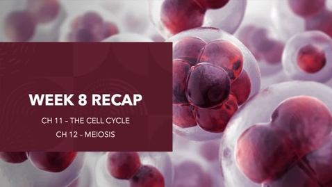Thumbnail for BIOL 2107 - Dr. Andrews - Week 8 (03/01-07)