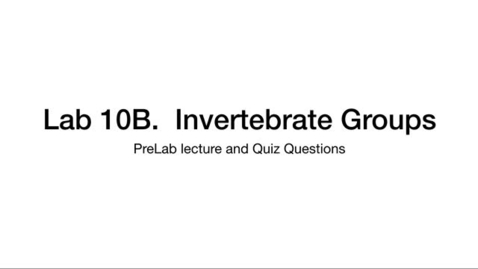 Thumbnail for InvertebrateGroupsPart1