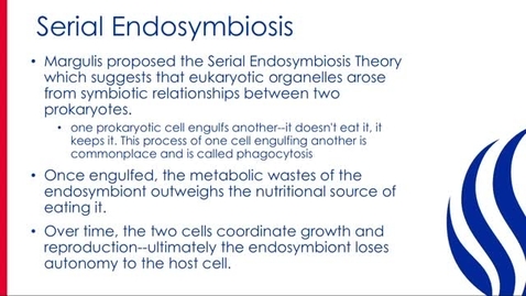 Thumbnail for 5_Endosymbiosis_simple.mov
