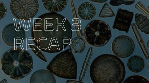 Thumbnail for BIOL 1104L - Dr. Andrews - Week 3 (06/21-27)