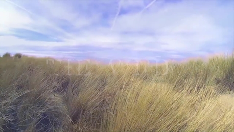 Thumbnail for Video Poem Example - The Wind